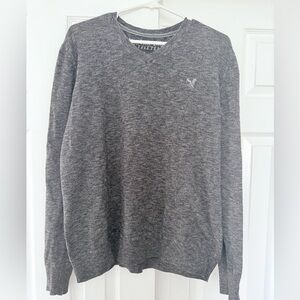 American Eagle Outfitters Charcoal V-Neck Cotton Sweater, size Large